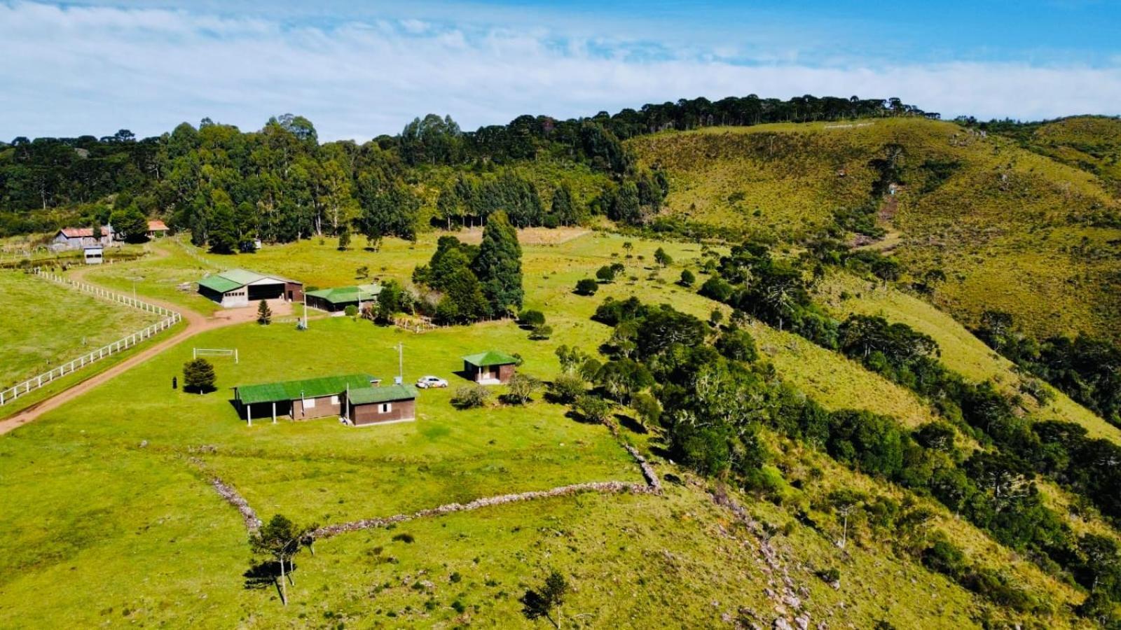 Pousada Fazenda Paim Sao Jose dos Ausentes Eksteriør billede