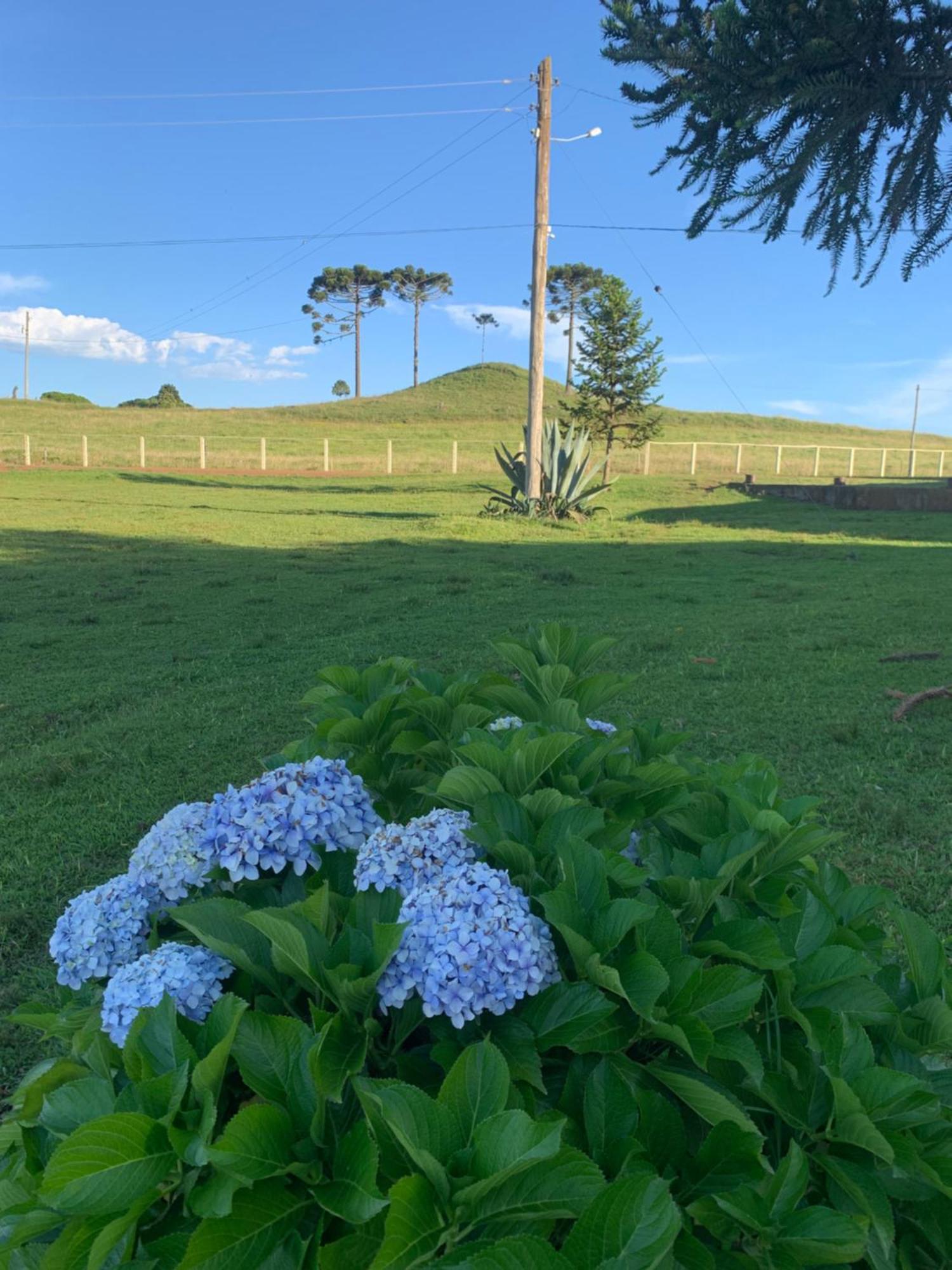 Pousada Fazenda Paim Sao Jose dos Ausentes Eksteriør billede