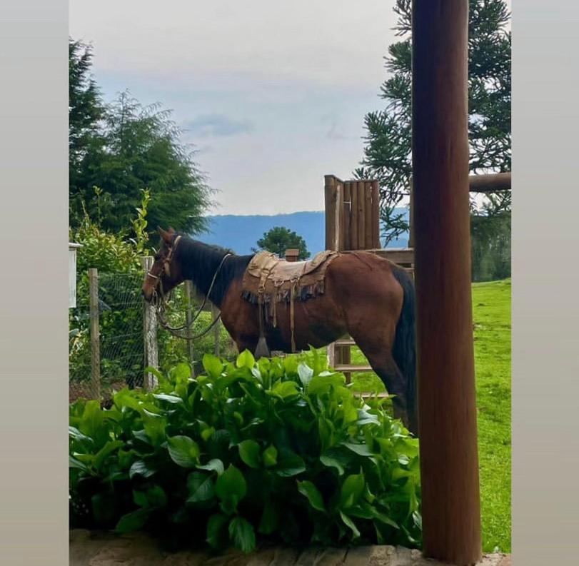 Pousada Fazenda Paim Sao Jose dos Ausentes Eksteriør billede