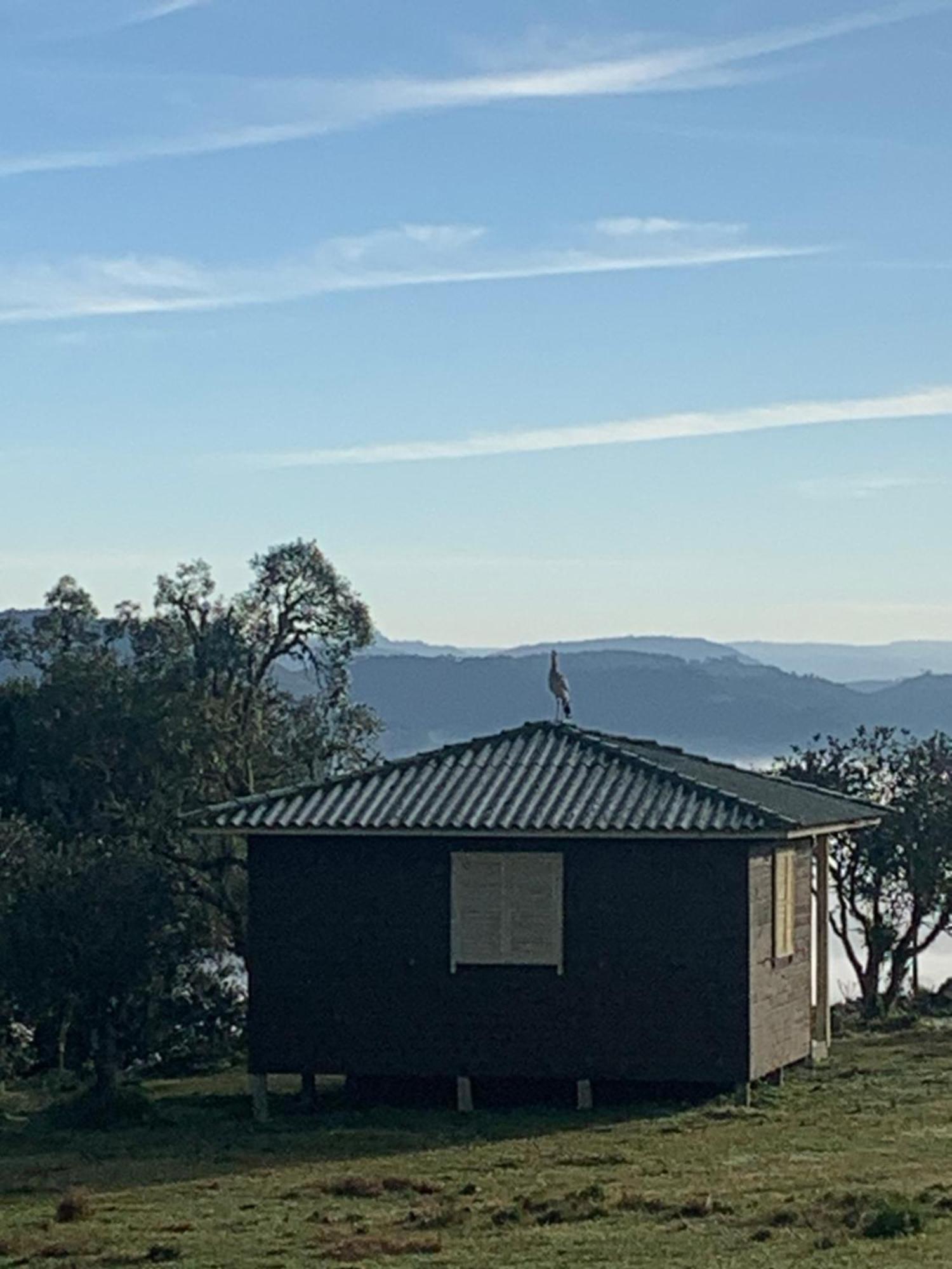 Pousada Fazenda Paim Sao Jose dos Ausentes Eksteriør billede